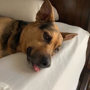 Meet your Posher, Kodi